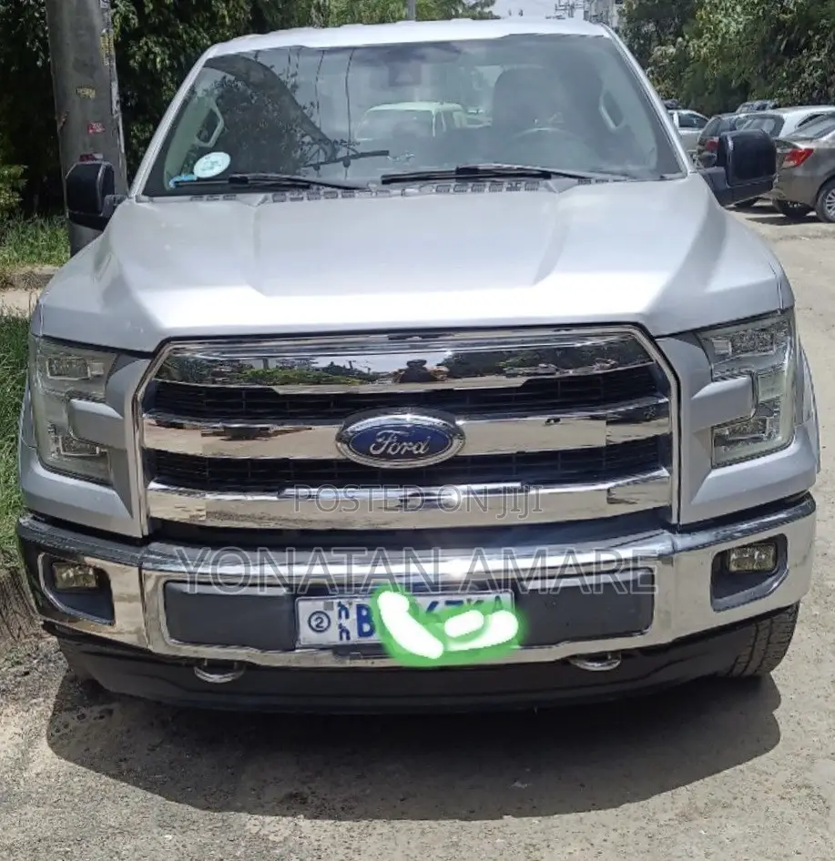 Ford F-150 2016 Silver