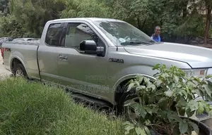 Ford F-150 2016 Silver