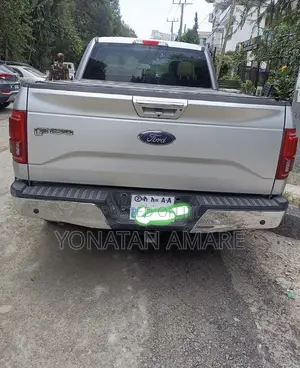 Ford F-150 2016 Silver