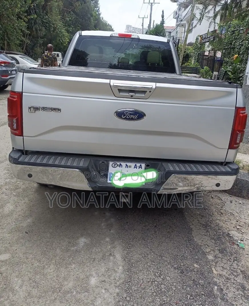 Ford F-150 2016 Silver
