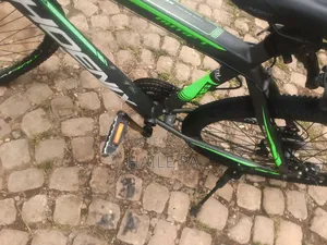 Phoenix Bike