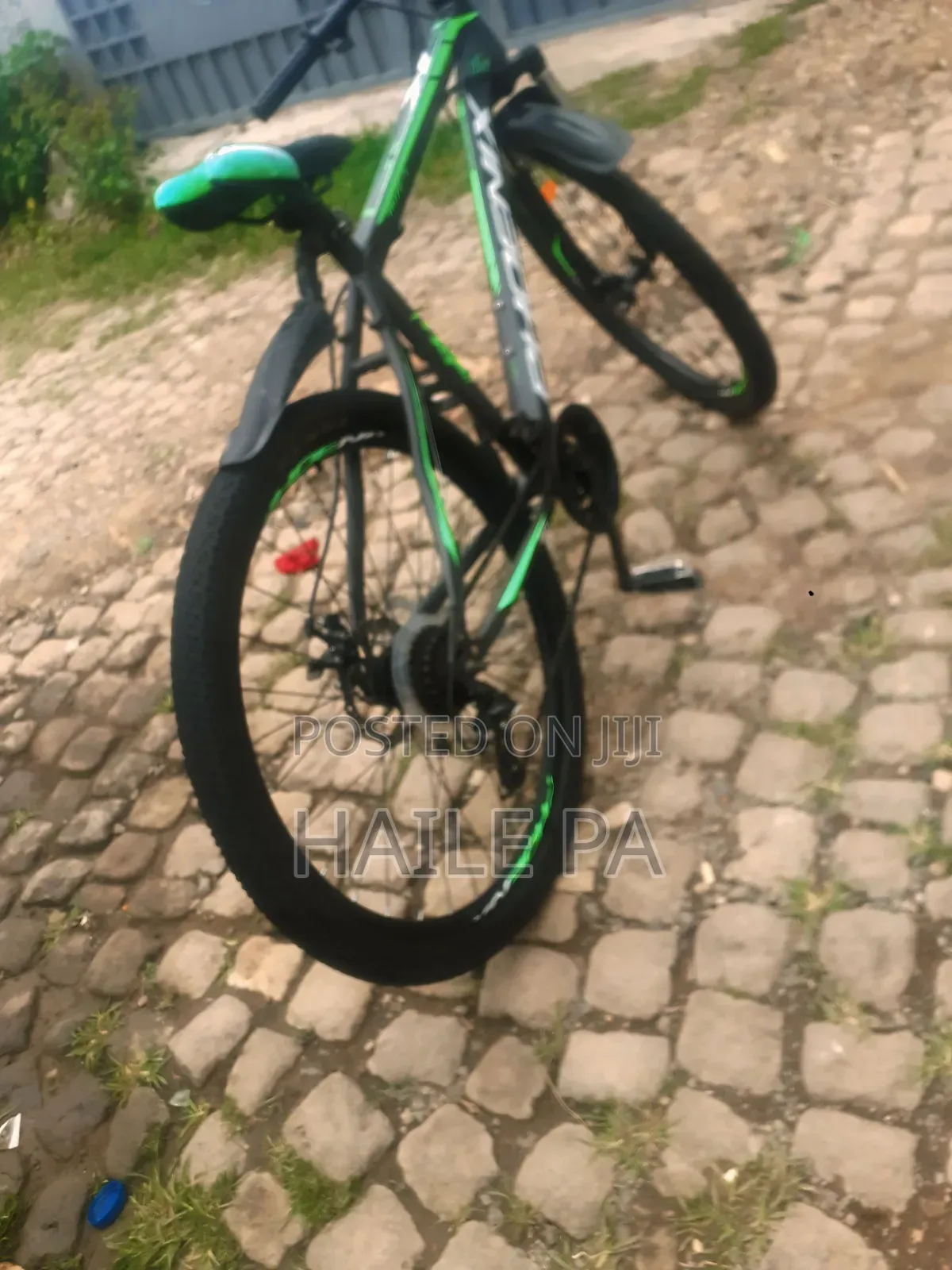Phoenix Bike