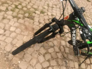 Phoenix Bike
