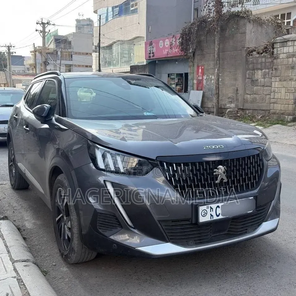 Peugeot 2008 2022 Gray