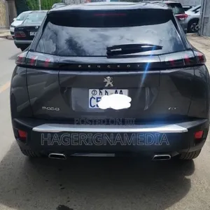 Peugeot 2008 2022 Gray