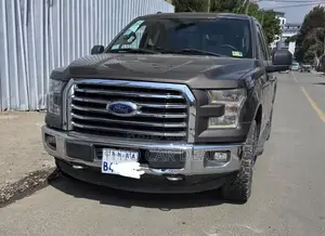 Ford F-150 2015 Brown