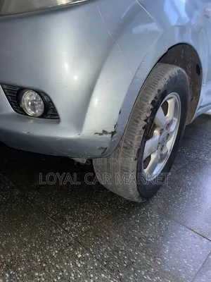 Daihatsu Terios 2008 Gray