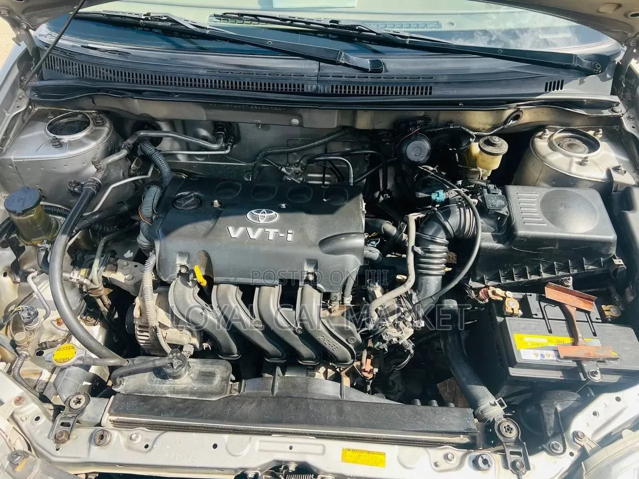 Toyota Corolla 2007 Ivory