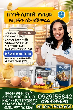 Chicken Hatchery Online Consulting / የጫጩት ማስፈልፈል ኦንላይን ስልጠና