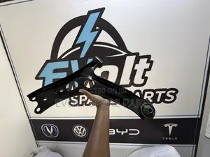 Seagull Control Arm (Bracho)