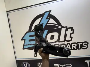 Seagull Control Arm (Bracho)