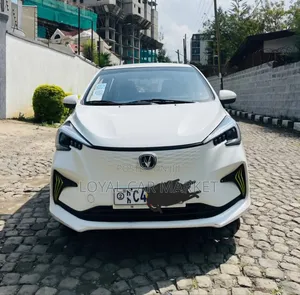 Changan BenBen E-Star 2024 White