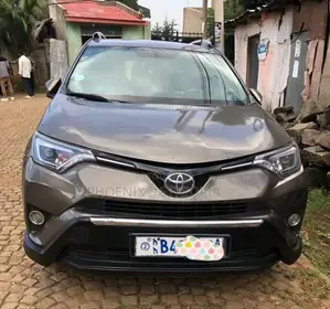 Toyota RAV4 2015 Brown