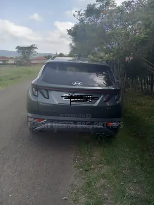 Hyundai Tucson 2022 Green