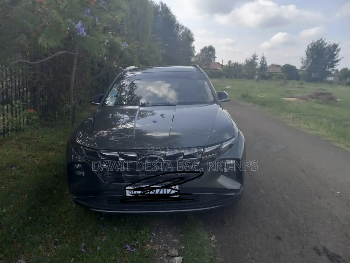 Hyundai Tucson 2022 Green