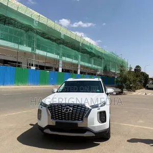 Hyundai Palisade 2021 White