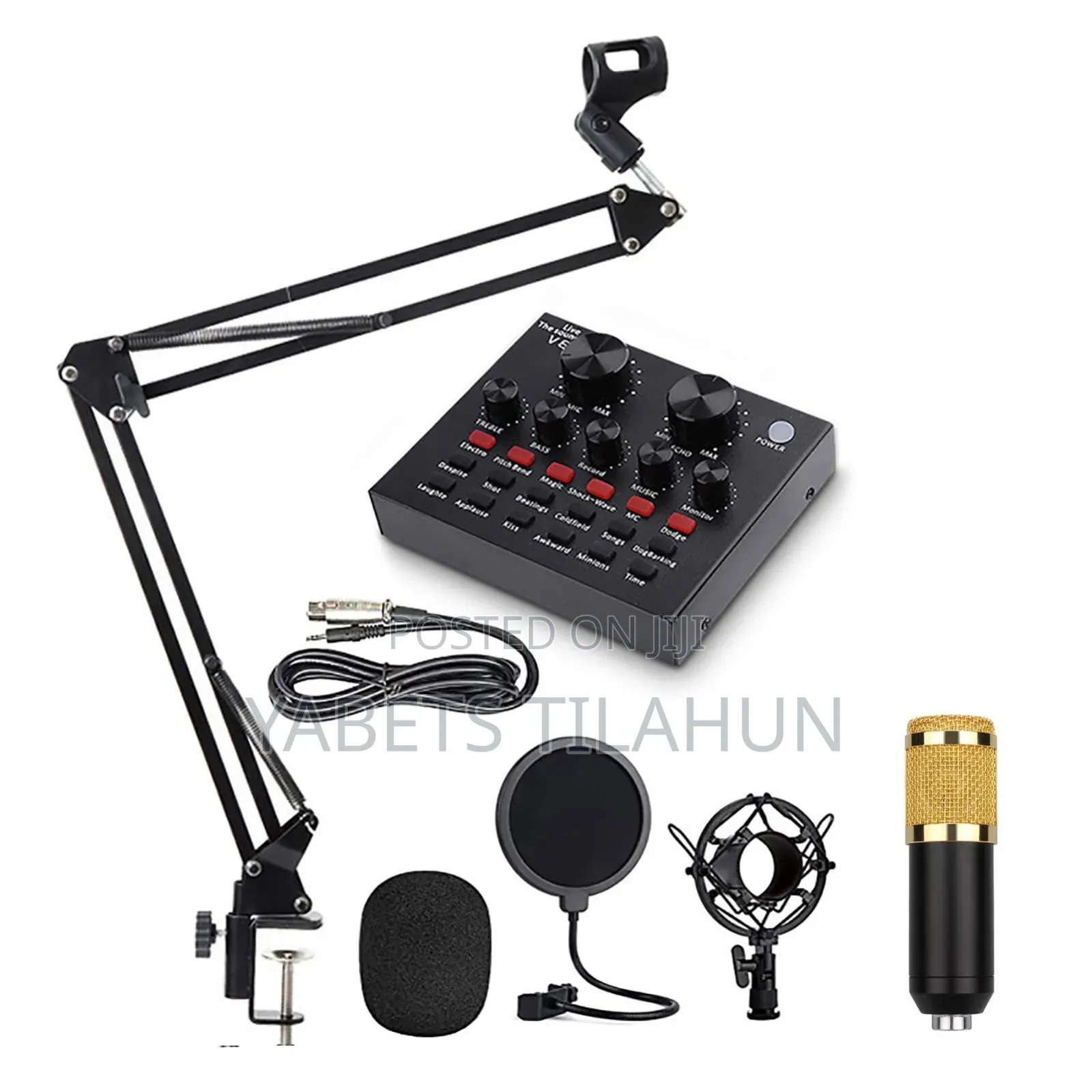 Condenser Mic for Professional Studio
