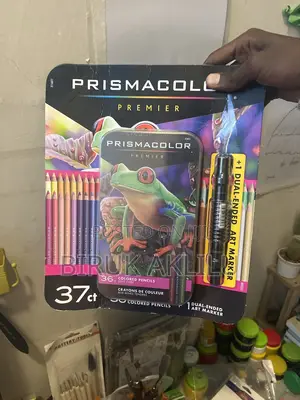 Prismacolor Premier Colored Pencil Tin Set