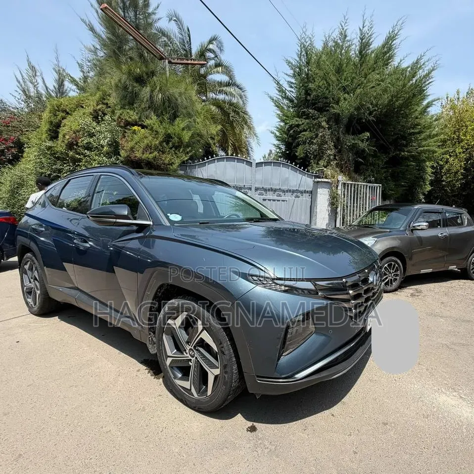 Hyundai Tucson 2021 Blue