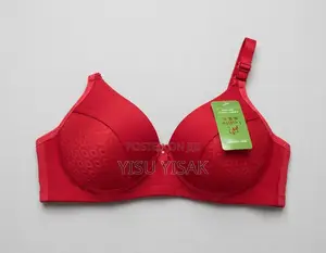 Leisile Luxury Full-Coverage Wireless Bra |