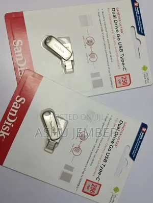 Sandisk 256gb Dual Drive – Usb-C Usb-a in One! 