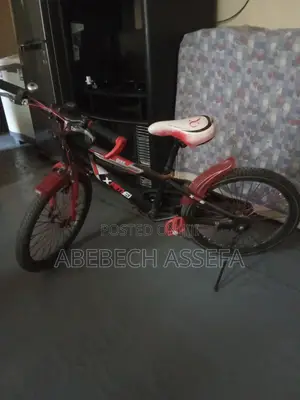 Bicycle Bike