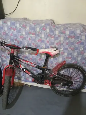 Bicycle Bike