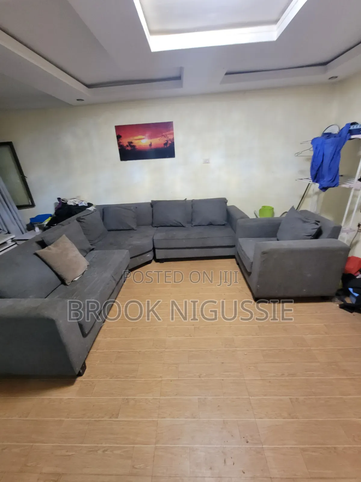 Furniture Sofa