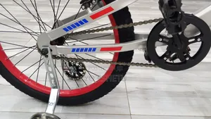 New Two Pis Bicycle for Sell