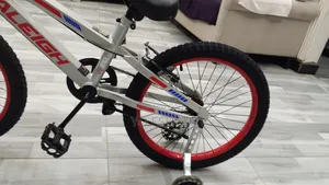 New Two Pis Bicycle for Sell