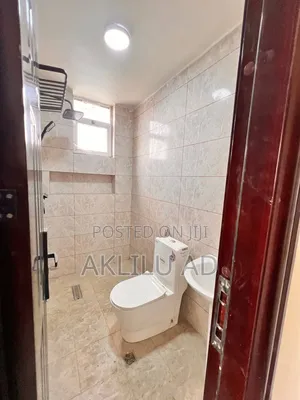 Furnished 3bdrm Condo in Bole Ayat for sale