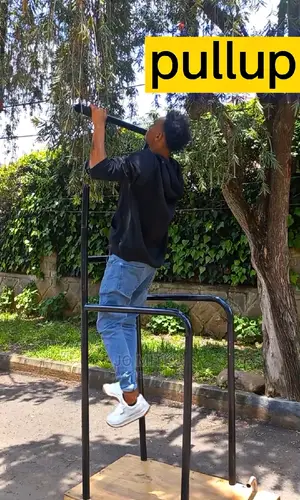 ተነቃቃይ Pull Up,Dig Up And Push Up Bars