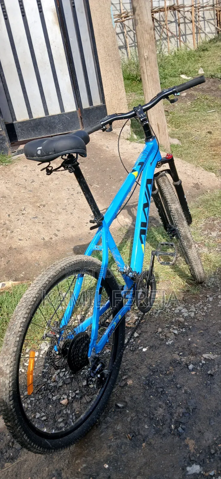 Mountain Bike