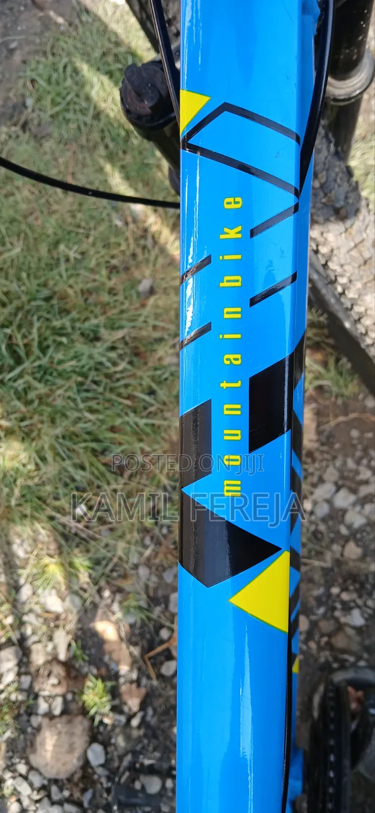 Mountain Bike
