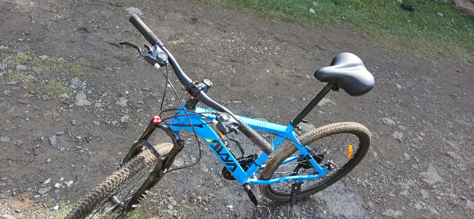 Mountain Bike