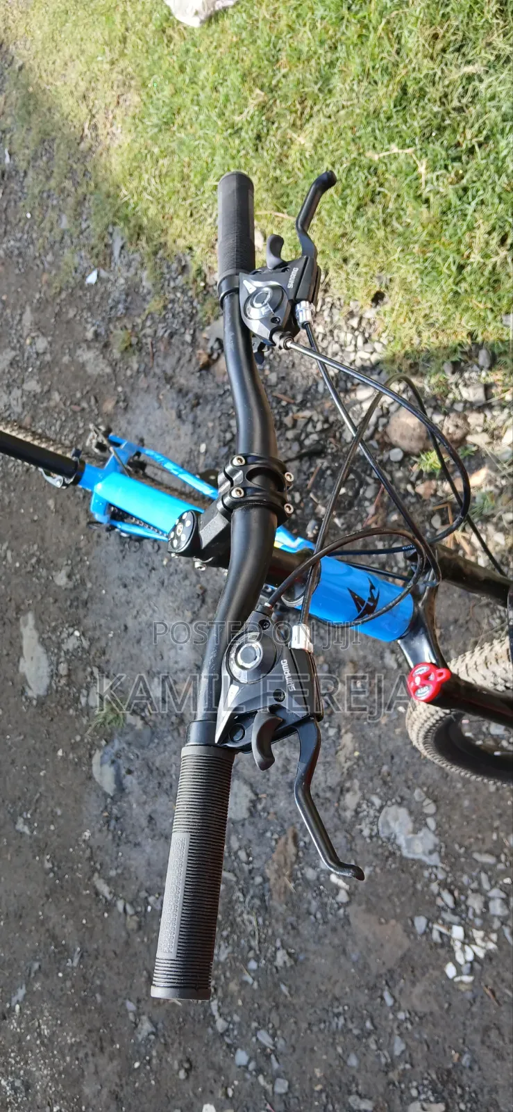 Mountain Bike