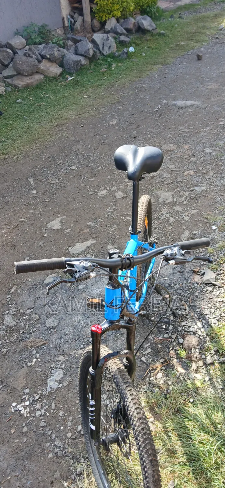 Mountain Bike
