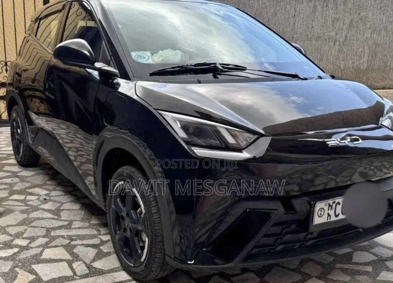 BYD Seagull 2024 Black