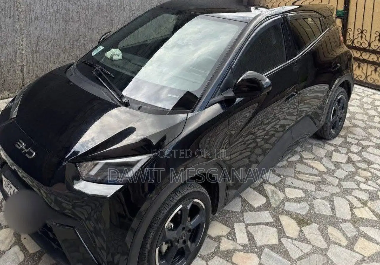 BYD Seagull 2024 Black
