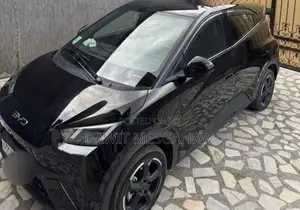 BYD Seagull 2024 Black