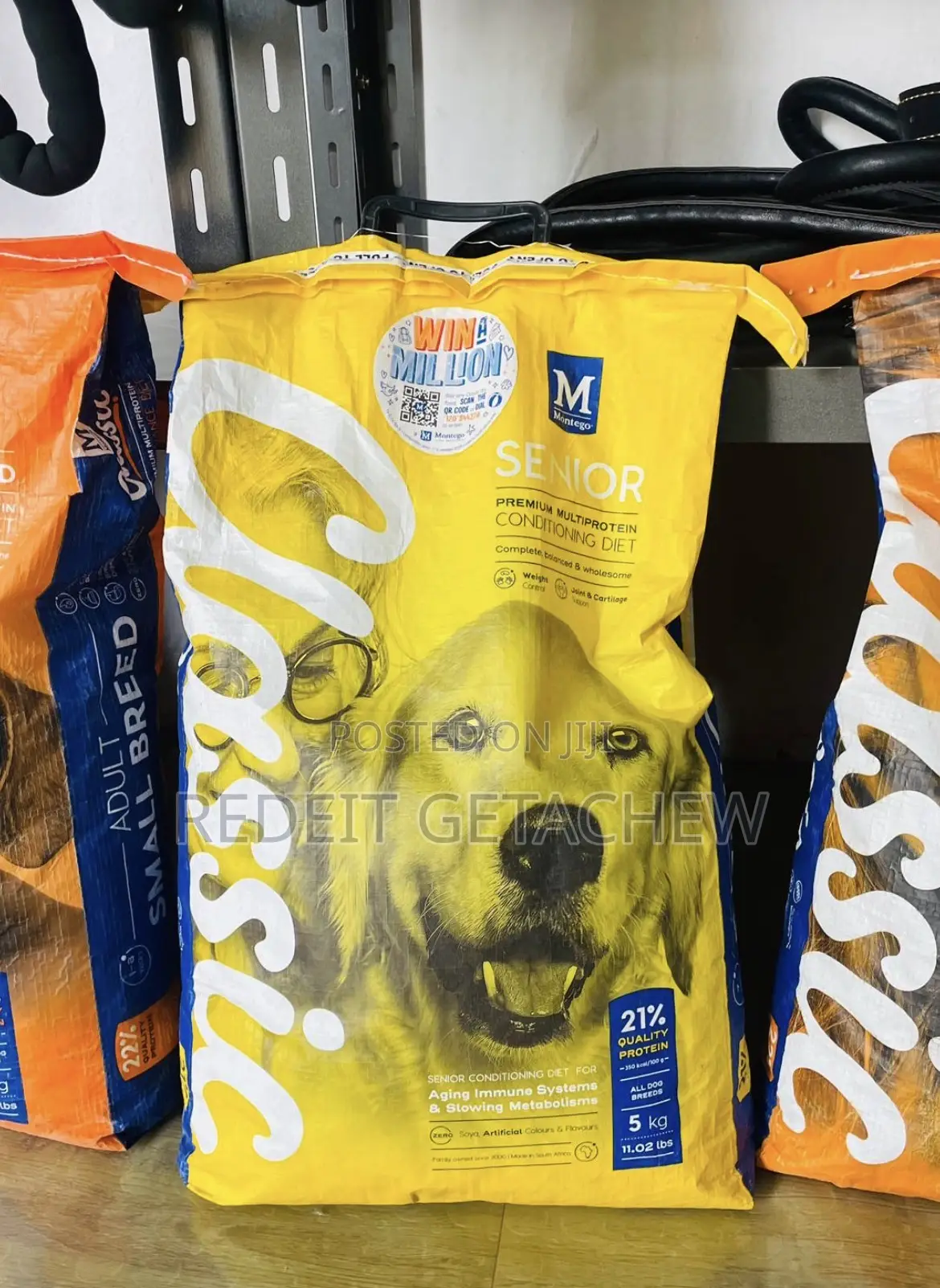 Dog Accessories