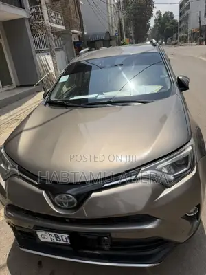 Toyota RAV4 LE AWD (2.5L 4cyl 6A) 2016 Gray
