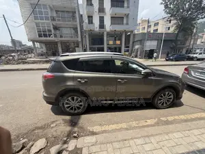 Toyota RAV4 LE AWD (2.5L 4cyl 6A) 2016 Gray