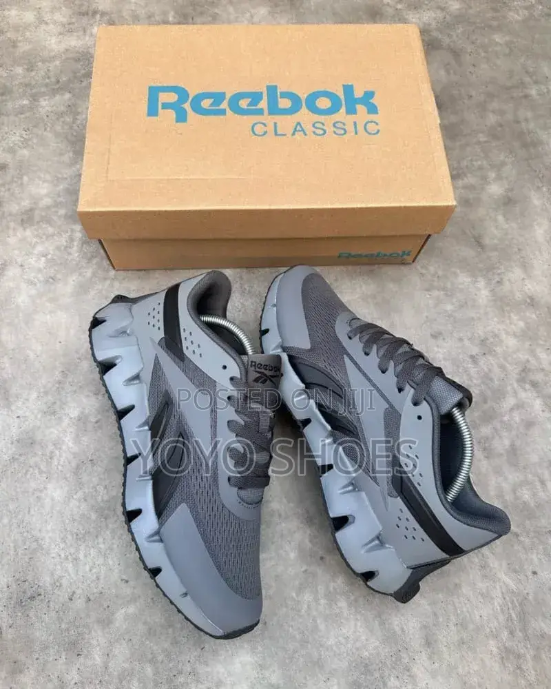 Reebok Zig Dynamica 2.0 Pure Grey and Black