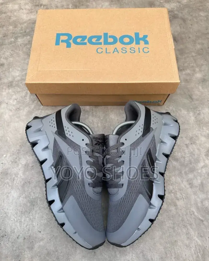 Reebok Zig Dynamica 2.0 Pure Grey and Black