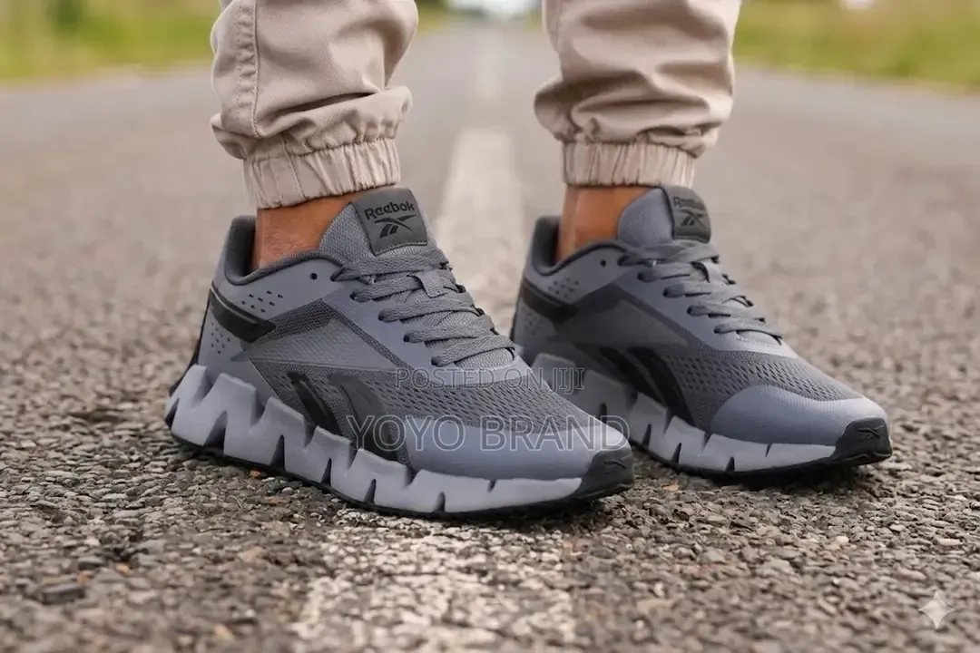 Reebok Zig Dynamica 2.0 Pure Grey and Black