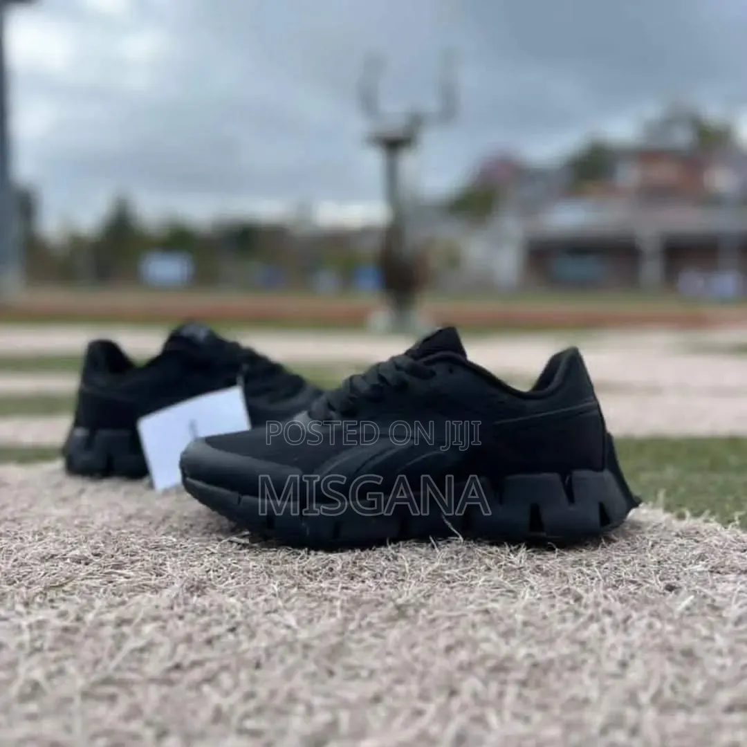 Reebok Zig Dynamica 2 "Triple Black"