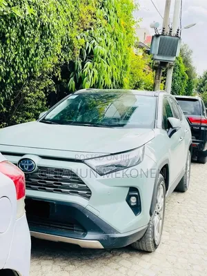 Toyota RAV4 2024
