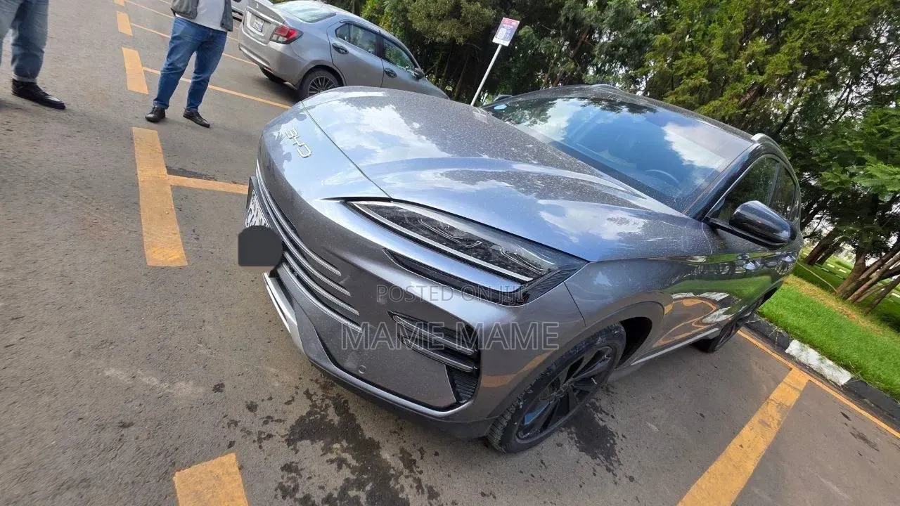New BYD Song Plus 2024 Gray