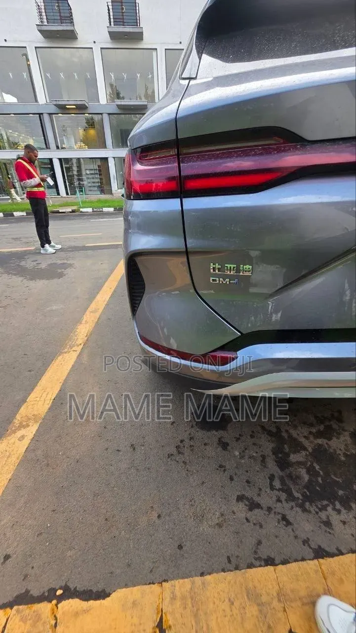 New BYD Song Plus 2024 Gray